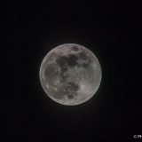 2018-03-01 FCM-Brøndby 0-1 (15/44)